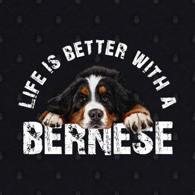 Bernese mountain dog by Bernesemountaindogstuff